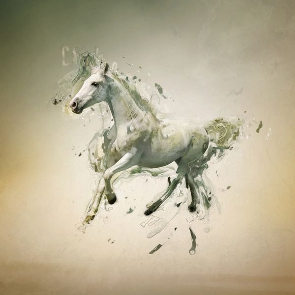 اسب سفید در حرکت مفهوم حیوانی انتزاعی می تواند برای کاغذ دیواری چاپ بوم دکوراسیون بنر گرافیک تی شرت تبلیغات استفاده شود