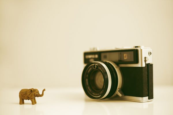 دوربین قدیمی pograph یک فیل مینیاتوری مایل به زرد روشن
