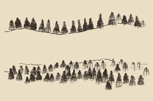کوه ها خطوط کوه با تصاویر وکتور حکاکی جنگل صنوبر طراحی دستی طرح