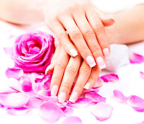 مانیکور آبگرم دست دست های زیبای زن پوست نرم ناخن های زیبا با گلبرگ های گل رز صورتی دست های زن سالم سالن زیبایی رفتار ناخن های زیبای زنانه با مانیکور فرانسوی