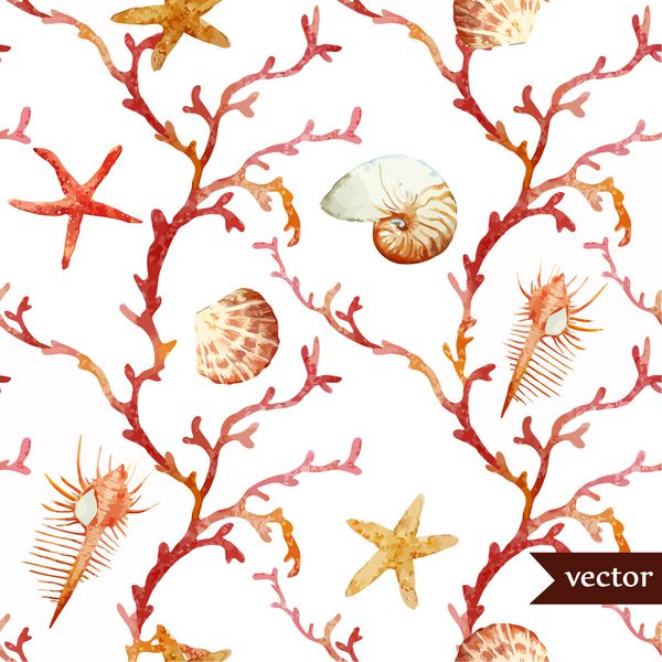 مرجان آبرنگ وکتور الگو صدف ستاره دریایی