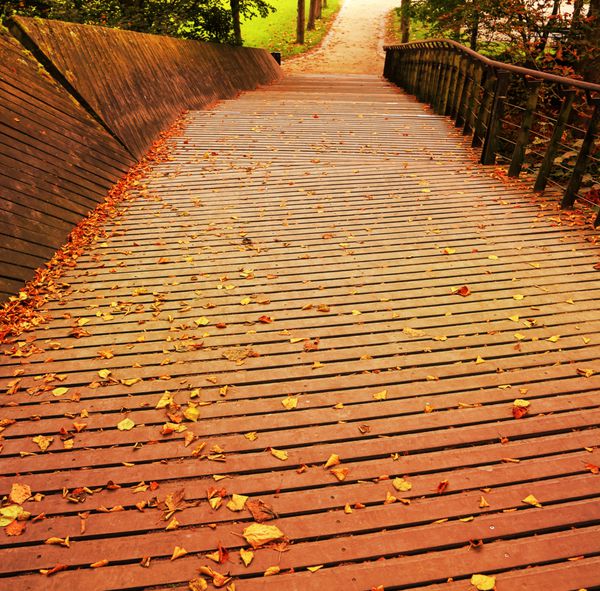 پل چوبی پارک با برگ های زرد