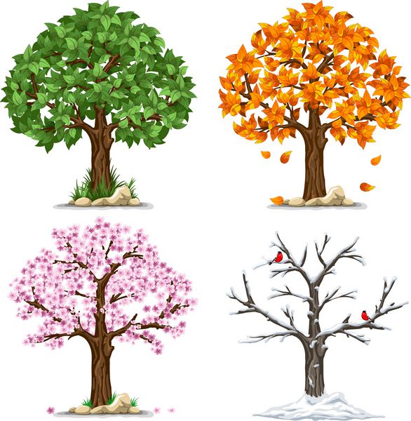 درخت در چهار فصل - بهار تابستان پاییز زمستان وکتور جدا شده در زمینه سفید