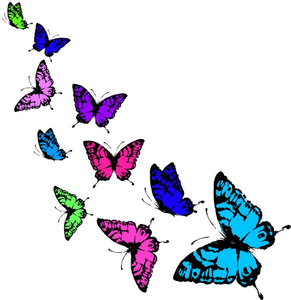 طراحی پروانه ها