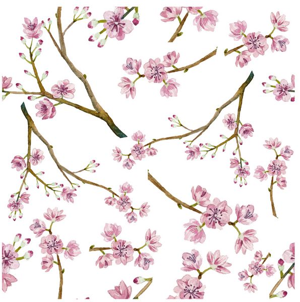 الگوی ساکورا آبرنگ بافت طبیعی بدون درز با شاخه های شکوفه درخت گیلاس گل های ژاپنی با دست کشیده روی پس زمینه سفید