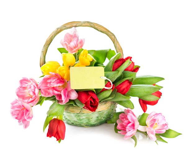 سبد گل تعطیلات بهار با کارت تبریک دسته گل زیبا از لاله های رنگارنگ در یک سبد جدا شده در زمینه سفید طراحی روز مادر یا عید پاک فصل بهار