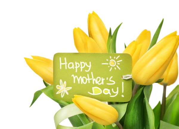 تعطیلات روز مادر دسته گل لاله های زرد بهار با کارت تبریک دسته گل زیبای لاله جدا شده در پس زمینه سفید فصل بهار