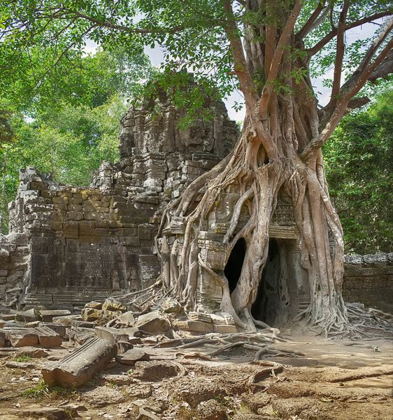 معبد متروکه در انگکور وات کامبوج