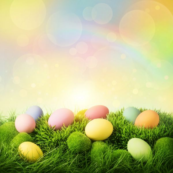 تخم مرغ های رنگارنگ عید پاک در پس زمینه رنگی پاستلی