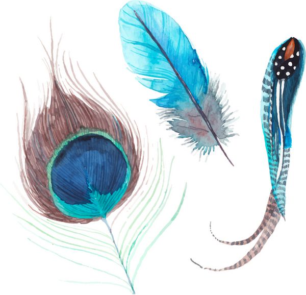 ست پر پرندگان عجیب و غریب آبرنگ عناصر هنری نقاشی شده با دست تصاویر جدا شده از وکتور