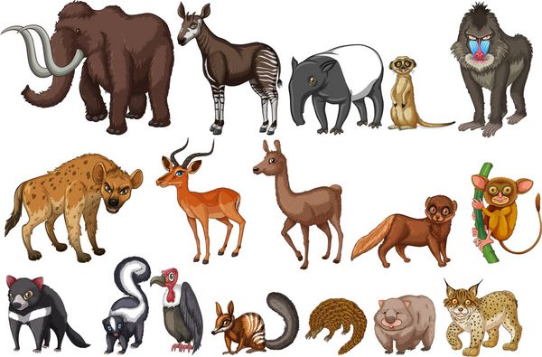 انواع مختلف حیوانات کمیاب