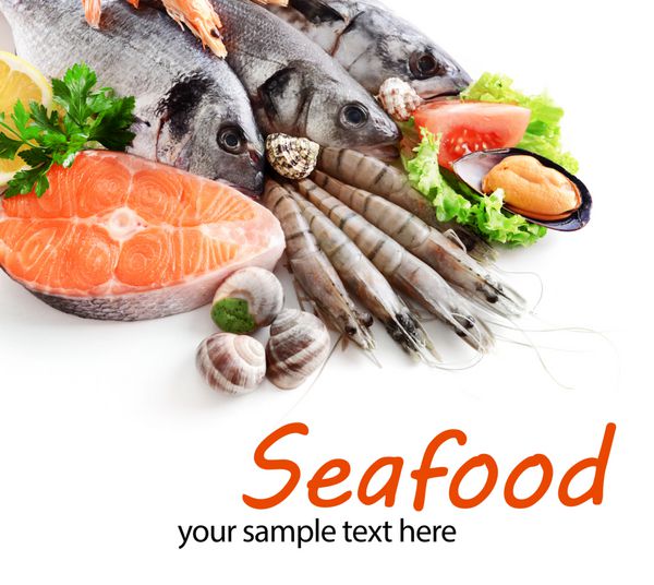 صید تازه ماهی و سایر غذاهای دریایی از نمای نزدیک