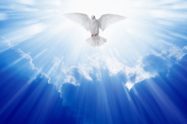 کبوتر روح القدس در آسمان آبی پرواز می کند نور درخشان از بهشت می درخشد نماد مسیحی