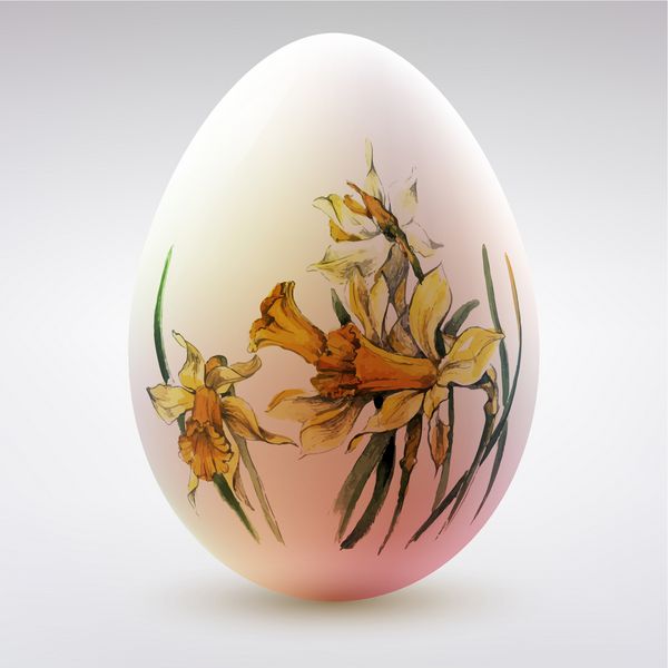 تخم مرغ واقعی در پس زمینه سفید با تزئینات آبرنگ وکتور