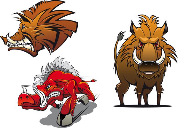 طلسم کارتونی گرازهای وحشی جنگلی که خوک‌های خشمگین قرمز و قهوه‌ای را با خز ژولیده و پوزخند تهاجمی برای یا طراحی کمیک نشان می‌دهد