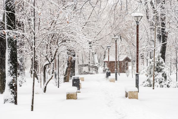 پارک عمومی در هنگام بارش برف سنگین در زمستان در شهر بخارست رومانی