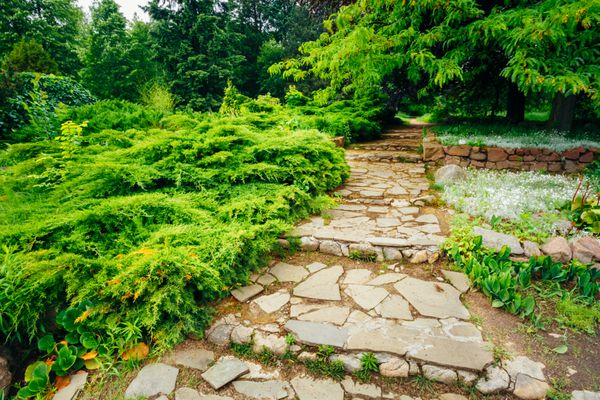 مسیر سنگی مسیر گذرگاه مسیر با درختان و بوته های سبز در باغ کوچه زیبا در پارک