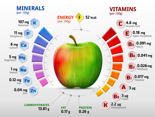 ویتامین ها و مواد معدنی سیب اینفوگرافیک در مورد مواد مغذی در میوه سیب وکتور کمی درباره سیب ویتامین ها میوه ها غذای سالم مواد مغذی رژیم غذایی و غیره