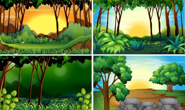 تصویری از چهار صحنه مختلف از جنگل