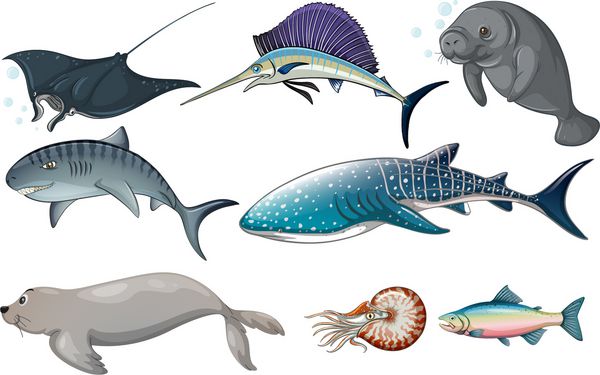 تصویری از انواع مختلف موجودات اقیانوسی