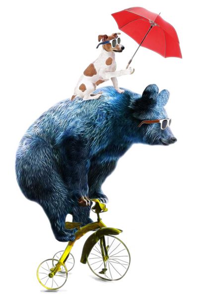 تصویر حیوانات چرخه خرس سیرک نمایش تصویر عملکرد خرس روی دوچرخه تصویر کشیده شده با دست شخصیت های کارتونی بامزه گرافیکی تی شرت خرس و سگ تصاویر کتاب خرس