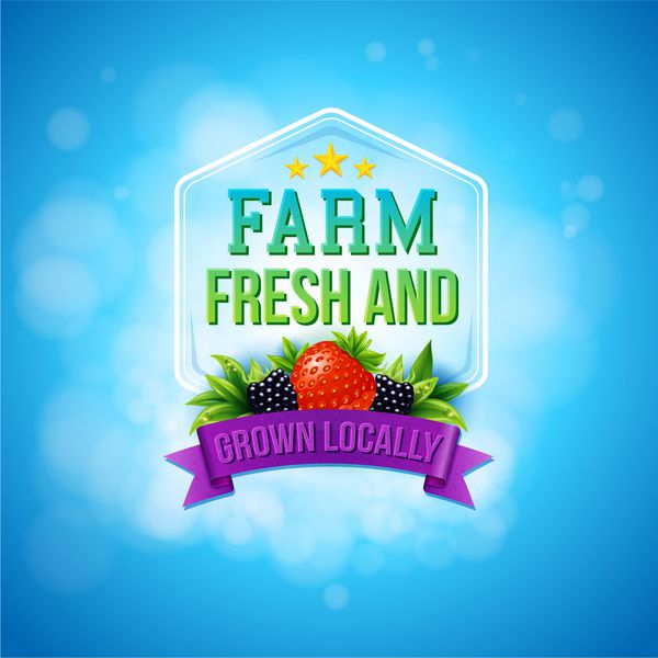 طرح پوستر رنگارنگ مزرعه تبلیغاتی محصولات محلی و محصولات کشاورزی تازه که با یک قاب بنر انواع توت ها و متن در پس زمینه آبی با بوکه درخشان تزئین شده است