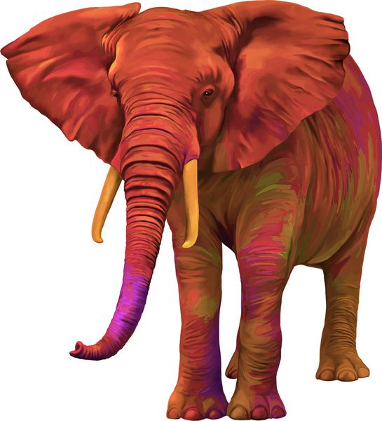 وکتور از فیل قرمز جدا شده در زمینه سفید