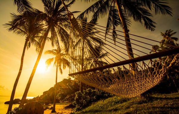 زمان استراحت با شبح بانوج و درخت نارگیل در ساحل در زمان غروب آفتاب در جزیره سامویی تایلند