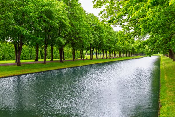 نمای تابستانی زیبا از پارک شهر در شورین منطقه مکلنبورگ آلمان