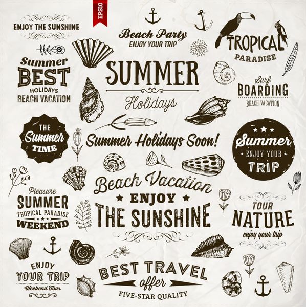 مجموعه ای از عناصر تابستانی برچسب های خوشنویسی صدف های دریایی گل ها لنگرها سبک طراحی شده با دست طراحی تایپوگرافی برای لوگو یا برچسب تعطیلات تابستانی بهشت استوایی بهترین تور مهمانی ساحلی سفر خوب