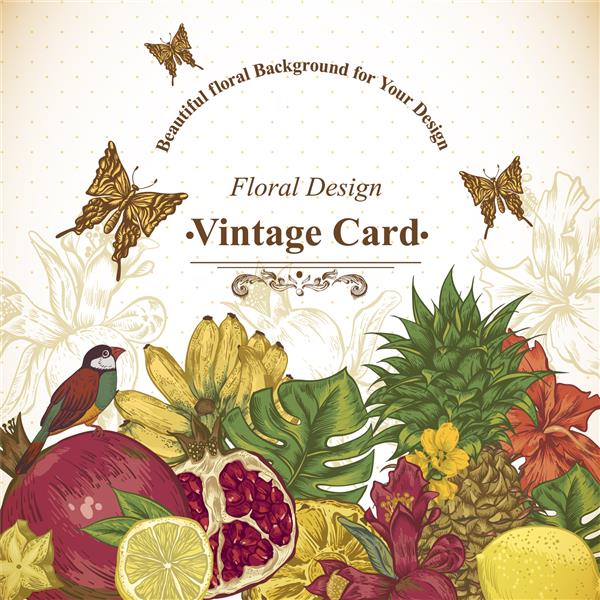 کارت پستال پرنعمت میوه گرمسیری گل پروانه و پرندگان وکتور آناناس و انار موز لیمو و هیبیسکوس