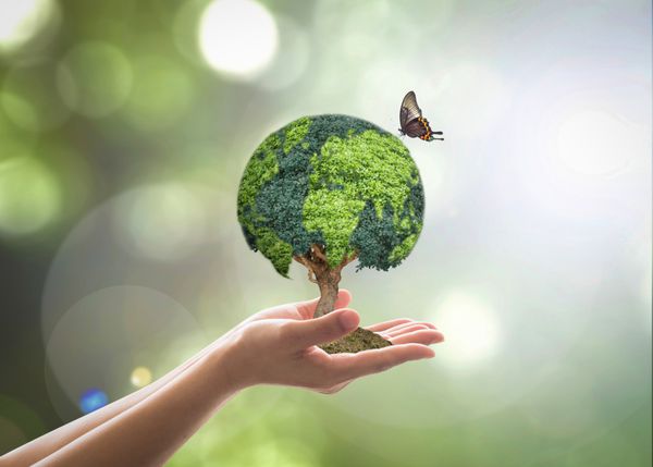 درخت سبز سبز روی دست داوطلب برای محیط زیست پایدار حفاظت از محیط زیست دوستدار محیط زیست صرفه جویی در محیط زیست و محیط زیست توسط CSR سرمایه گذاری ESG محیط زیست جهانی مفهوم روز زمین