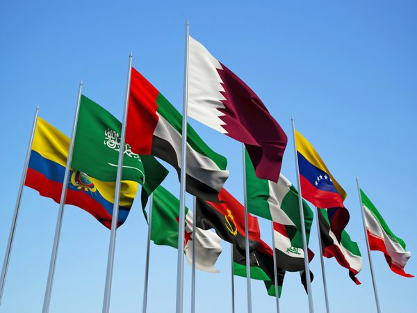کشورهای عضو اوپک پرچم ها در باد تصویر 3D