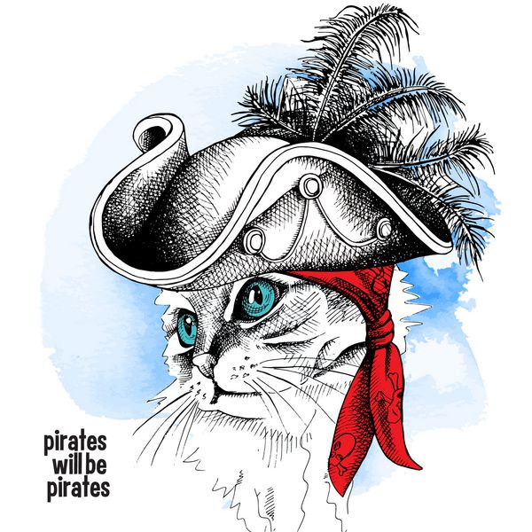تصویر گربه تصویر در یک کلاه دزد دریایی و باندا در پس زمینه آبی تصویر برداری