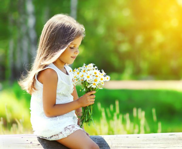پرتره کودک دختر کوچک ناز با دسته گل بابونه در روز آفتابی تابستان