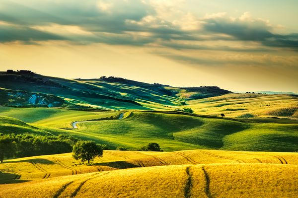 چشمه توسکانی تپه های غوطه ور در غروب خورشید چشم انداز روستایی volterra زمین های سبز و درختان ایتالیا اروپا
