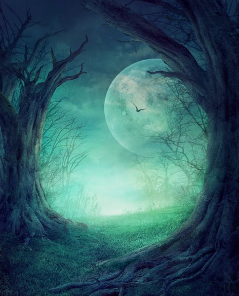 طرح هالووین - درخت شبح وار پس زمینه ترسناک با دره پاییزی با جنگل درخت ترسناک و ماه کامل فضایی برای متن تعطیلات هالووین شما
