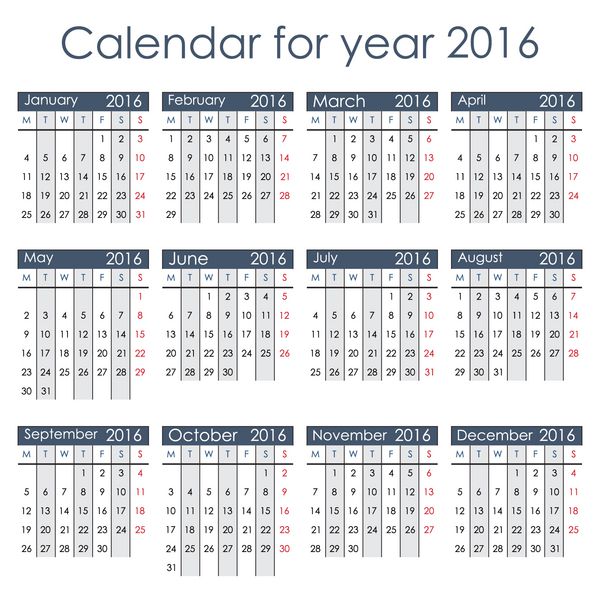 تقویم ساده 2016 - هفته با دوشنبه شروع می شود جدا شده در پس زمینه سفید وکتور