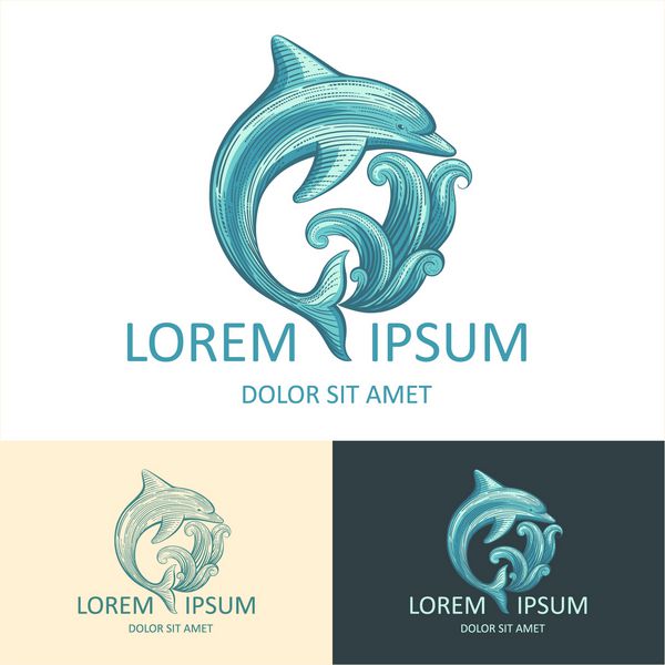 الگوی وکتور دلفین و موج با نمونه متن نماد لوگوتایپ جدا شده