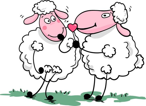 گوسفند عاشقانه
