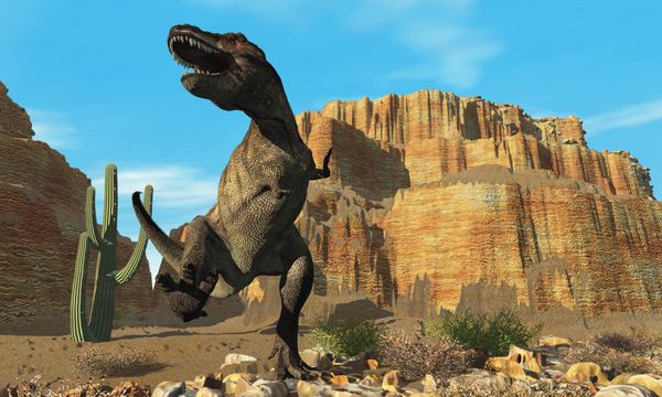 t-rex - یک تی رکس نافرمانی خود را در برابر همه دایناسورهای دیگر در قلمرو خود غرش می کند