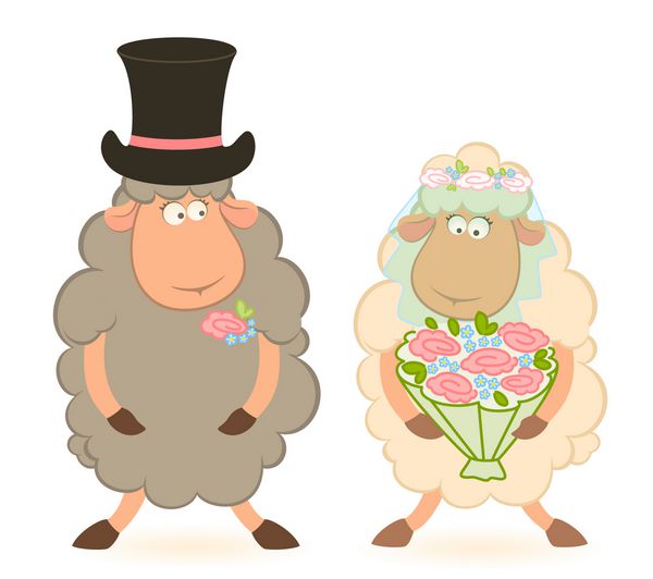 کارتونی داماد و عروس گوسفند در پس زمینه سفید وکتور