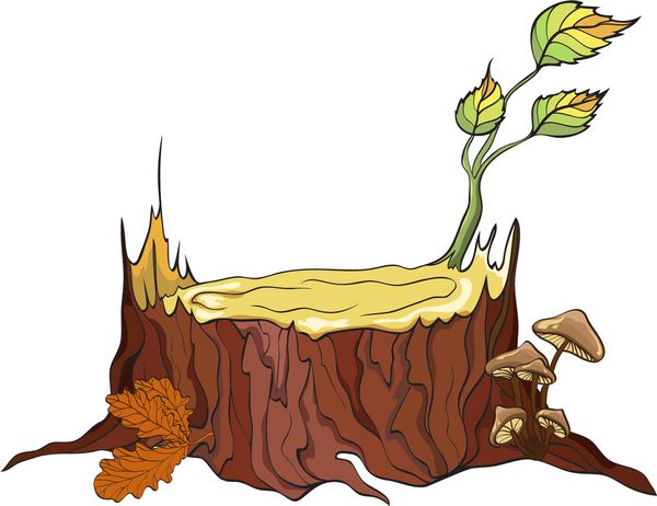 درخت خرد و قارچ وکتور دقیق
