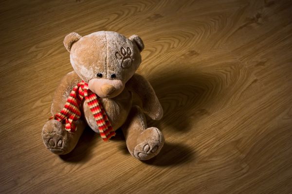 خرس عروسکی روی زمین چوبی