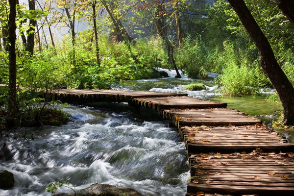 پل عابر پیاده چوبی بر روی رودخانه در جنگل کوهستانی کرواسی