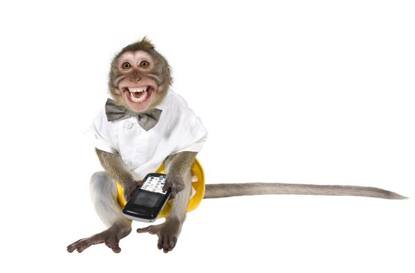 یک میمون با تلفن همراه که کلید را قطع کرد و دندان هایش را نشان داد