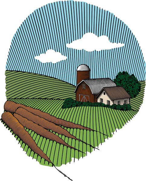 تصویری به سبک حکاکی روی چوب از گروهی از هویج با صحنه مزرعه روستایی در پس زمینه