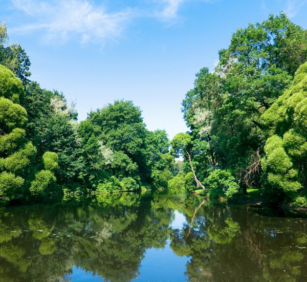 زیبایی پی طبیعت