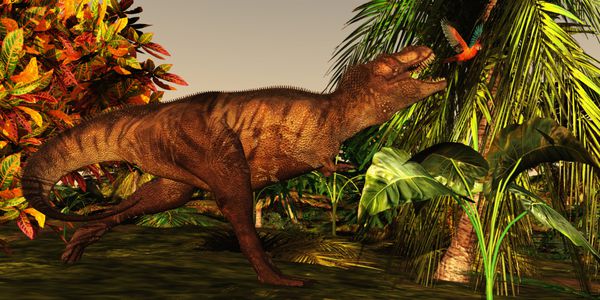 t_rex jungle - یک تیرانوزاروس رکس دنبال یک ماکائو قرمز زیبای کوبایی در اعماق جنگل می دود