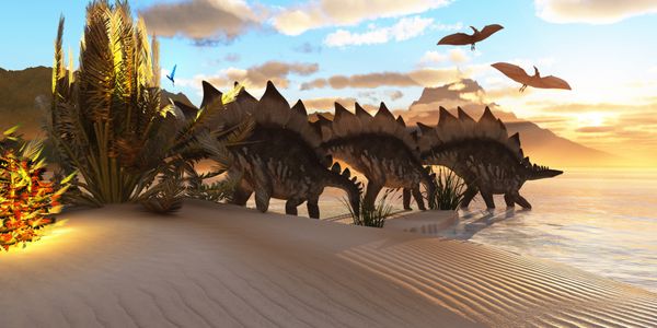 دایناسور stegosaurus - چندین دایناسور استگوزاروس در میان پوشش گیاهی کنار دریاچه ای در دوره ژوراسیک جستجو می کنند